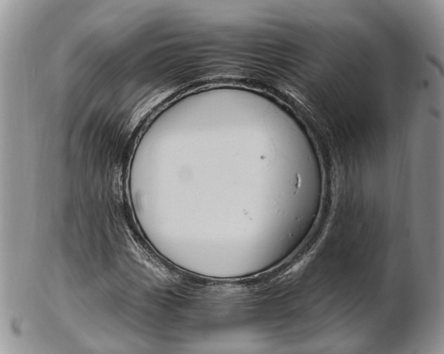 X0000103141113200808221058