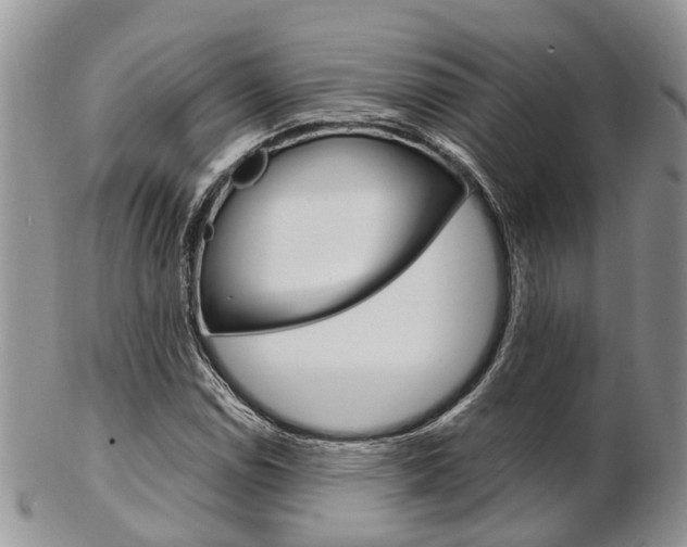 X0000103141114200808221058