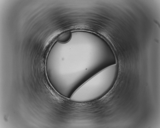 X0000103141115200808221058