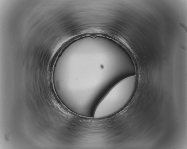 X0000103141116200808221058
