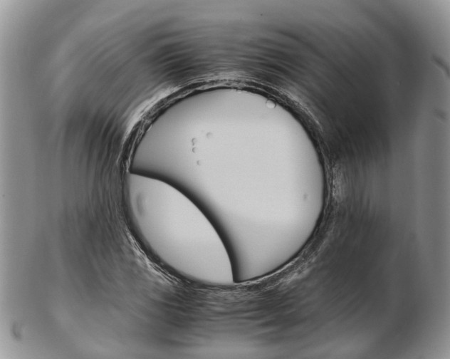 X0000103141117200808221058