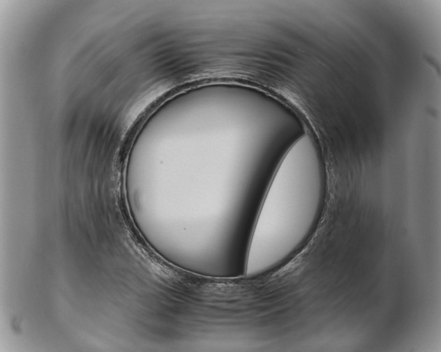 X0000103141119200808221058