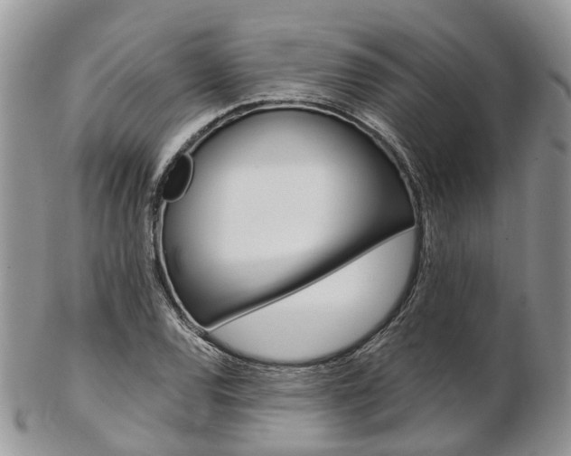 X0000103141120200808221058