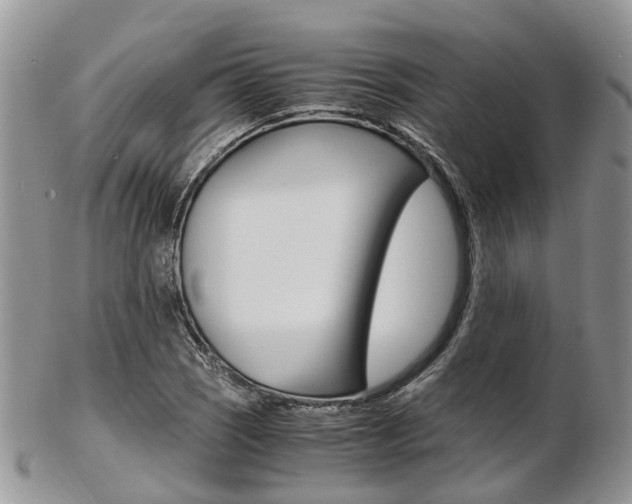X0000103141121200808221058