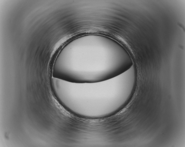 X0000103141122200808221058