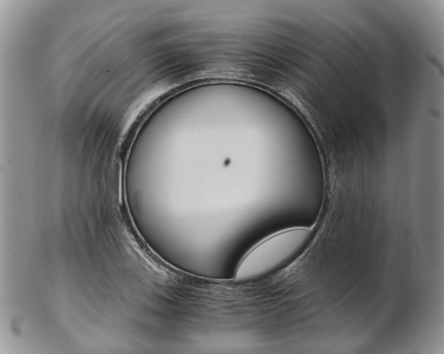 X0000103141123200808221058
