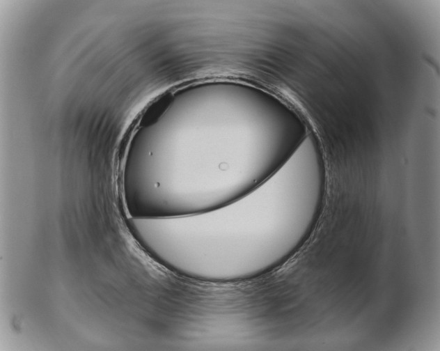 X0000103141124200808221058