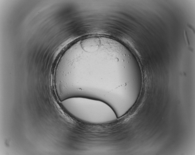 X0000103141125200808221058