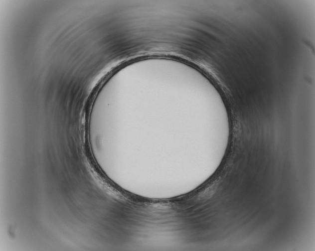 X0000103141126200808221058
