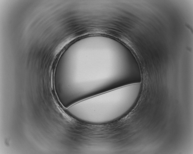 X0000103141127200808221058