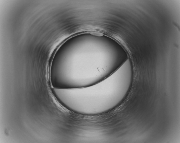 X0000103141128200808221058