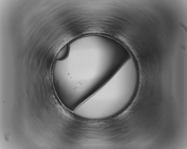 X0000103141129200808221058