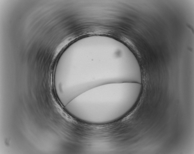 X0000103141130200808221058