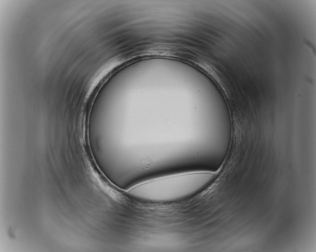 X0000103141131200808221058