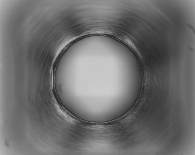 X0000103141132200808221058