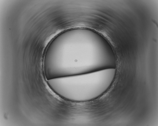 X0000103141134200808221058