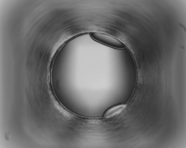 X0000103141136200808221058