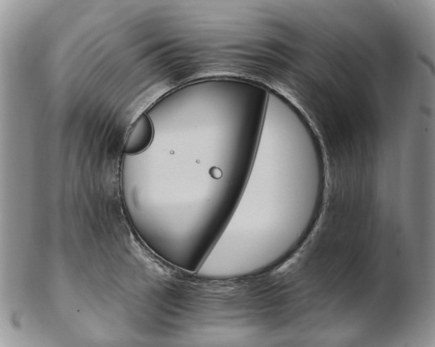 X0000103141137200808221058