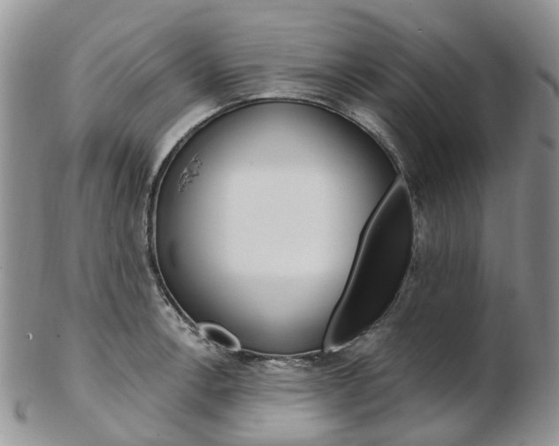 X0000103141138200808221058