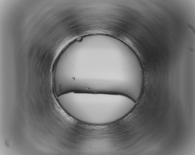 X0000103141140200808221058