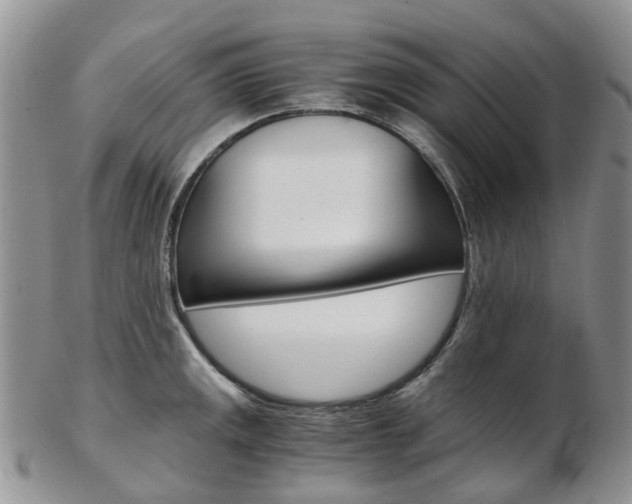 X0000103141141200808221058