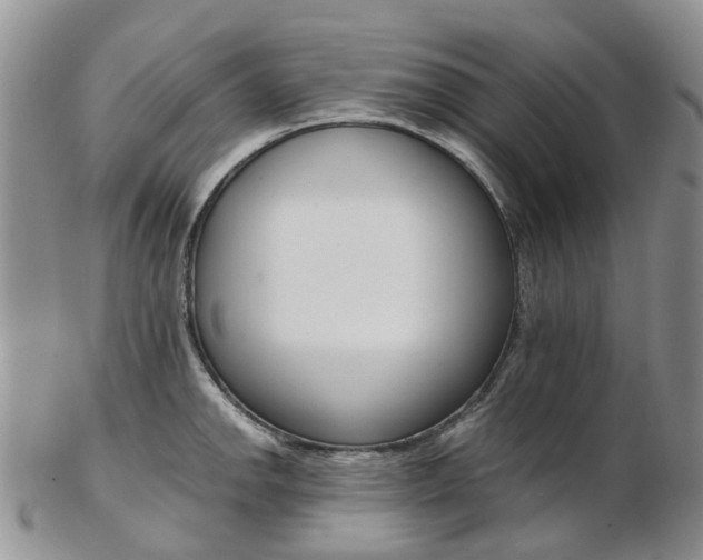 X0000103141142200808221058
