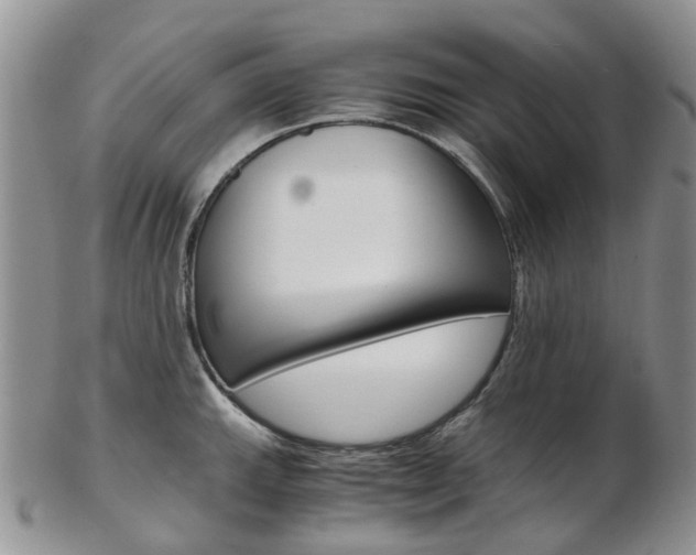 X0000103141143200808221058