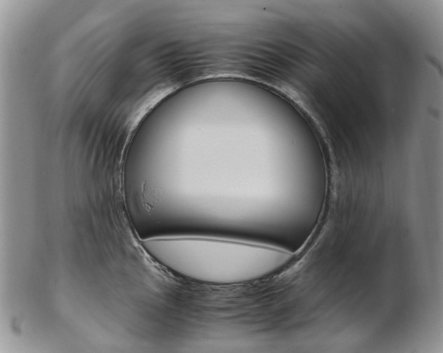 X0000103141145200808221058