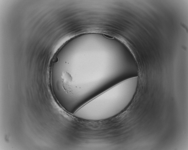 X0000103141147200808221058