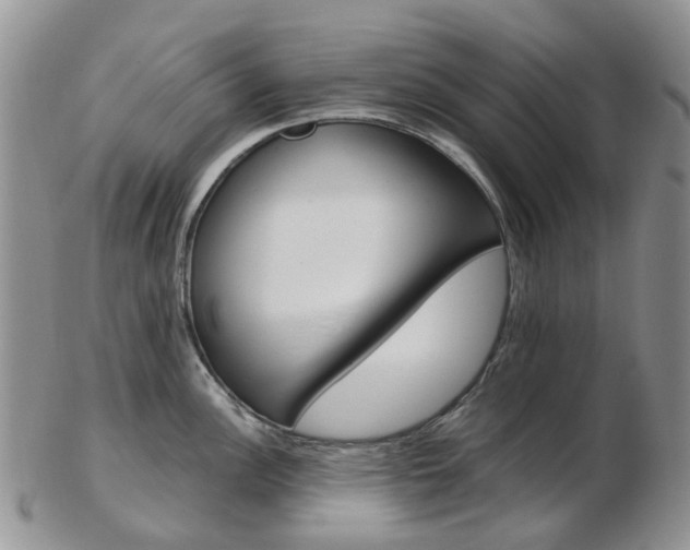 X0000103141148200808221058