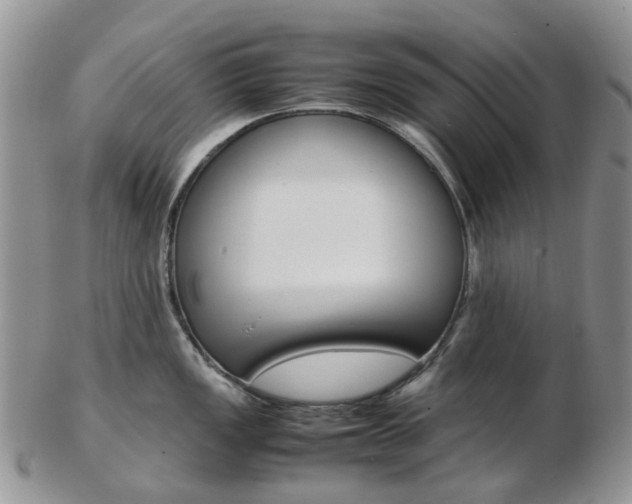 X0000103141149200808221058
