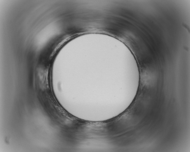 X0000103141150200808221058