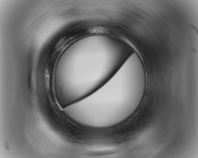 X0000103141151200808221058