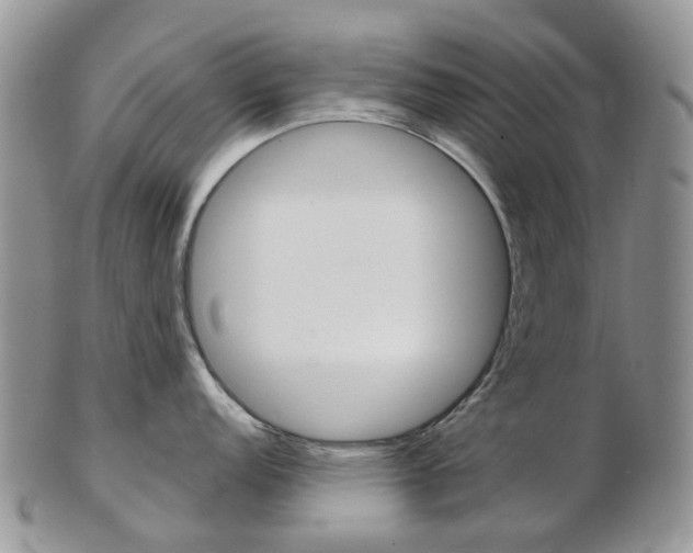 X0000103141152200808221058