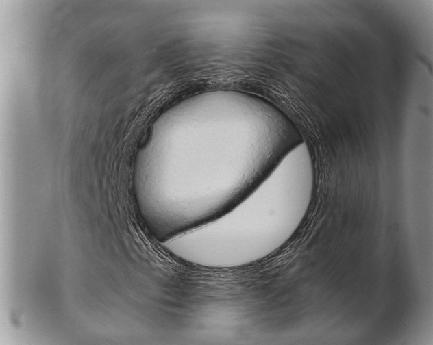 X0000103141153200808221058