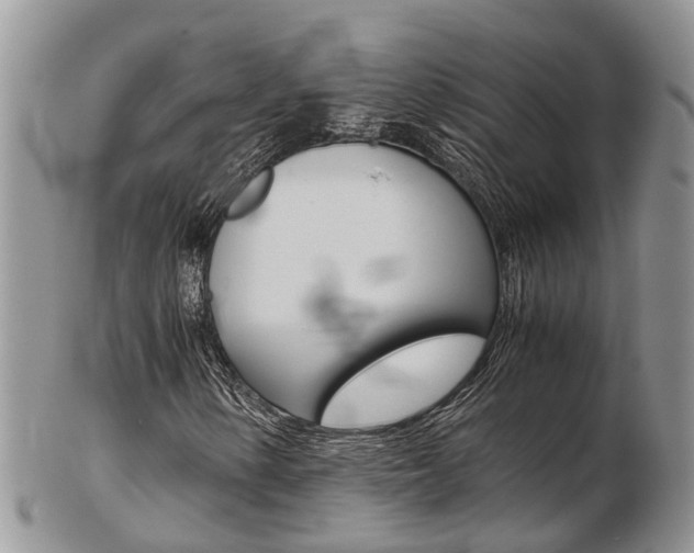 X0000103141154200808221058