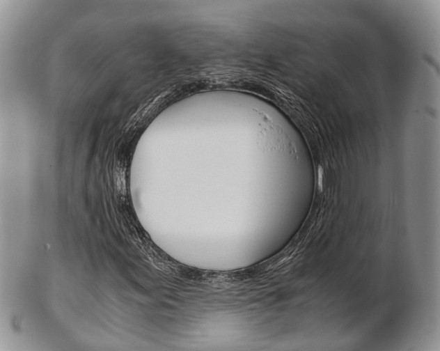 X0000103141155200808221058