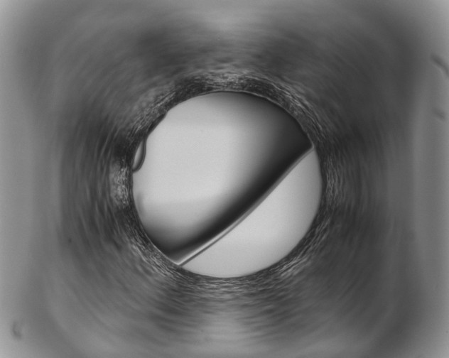 X0000103141156200808221058