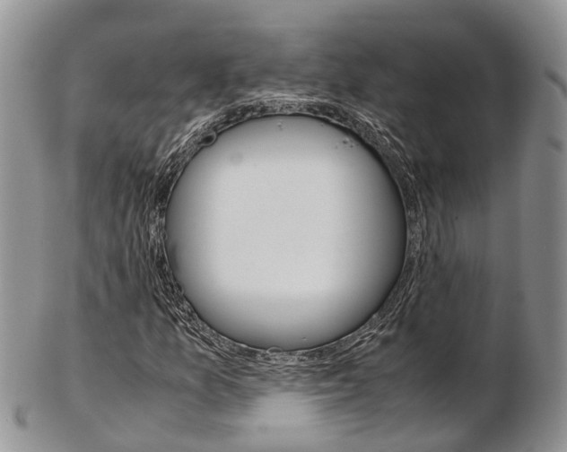 X0000103141157200808221058