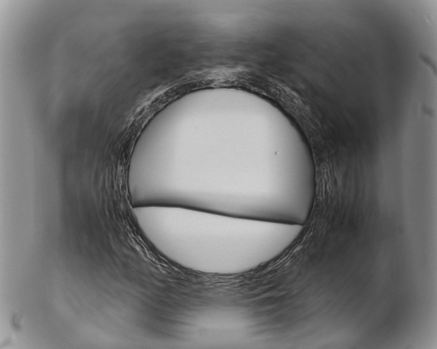 X0000103141158200808221058