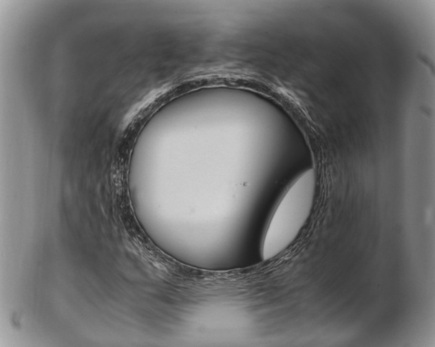 X0000103141159200808221058