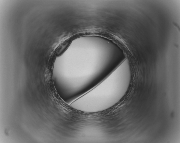 X0000103141160200808221058