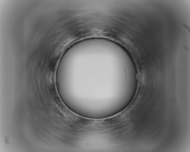 X0000103141161200808221058
