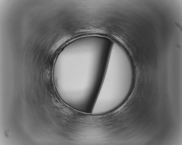 X0000103141163200808221057