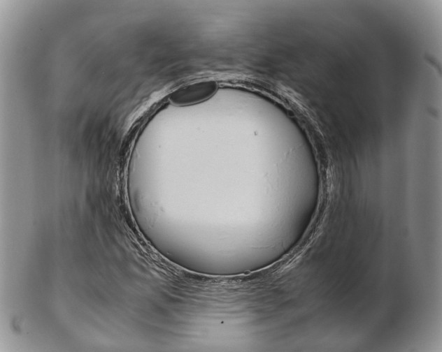 X0000103141165200808221057
