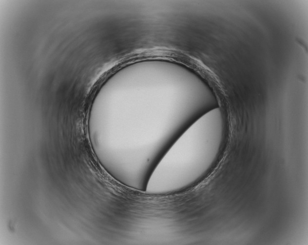 X0000103141166200808221057