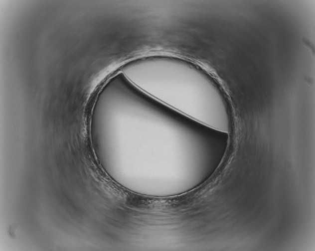 X0000103141167200808221057
