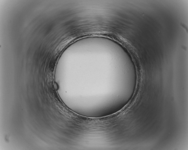 X0000103141169200808221057