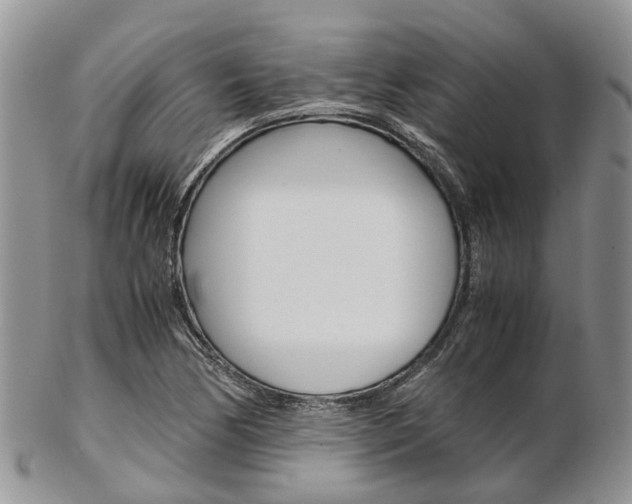 X0000103141170200808221057