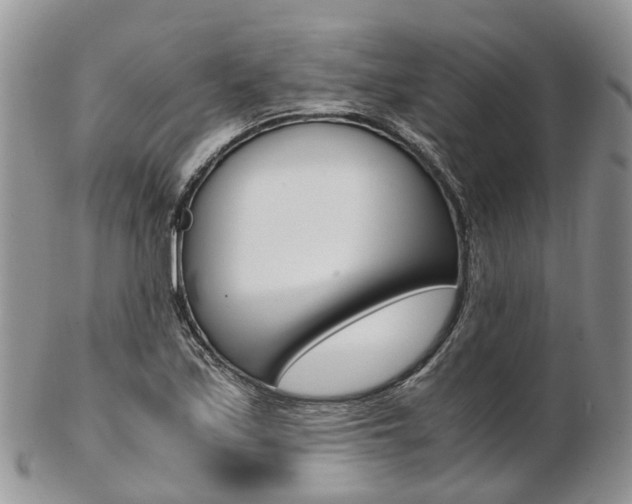 X0000103141171200808221057